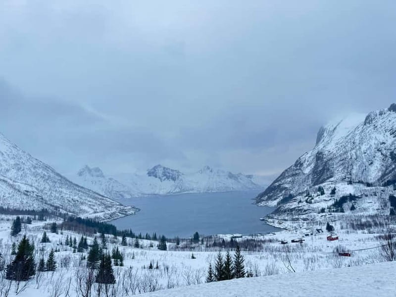 Tromsø Half-Day Private Tour: Fjords & Sommarøy Adventure - Visiting Grotfjord: A Scenic Natural Landmark