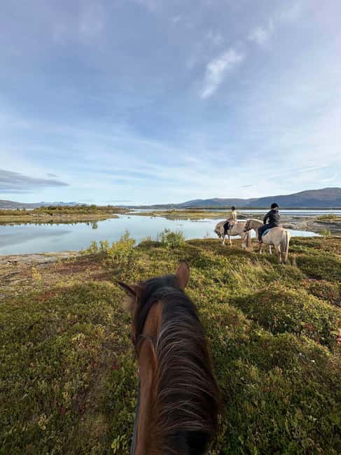 Tromsø: Horseback Riding Tour vinter/summer - Key Points