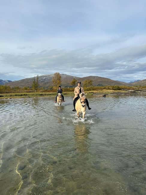Tromsø: Horseback Riding Tour vinter/summer - Additional Activities and Alternatives