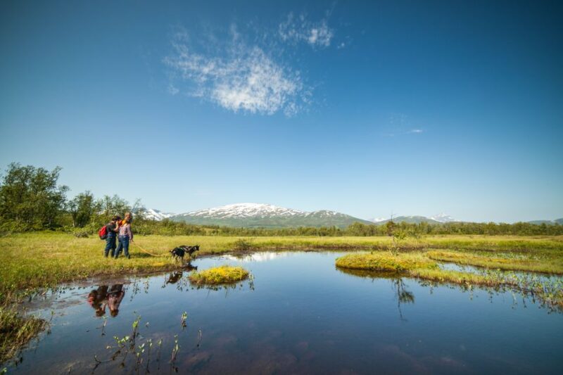 Tromsø: Husky Hike and Puppy Visit with Traditional Lunch - Lunch in a Sami Lavvo: Traditional Norwegian Flavors