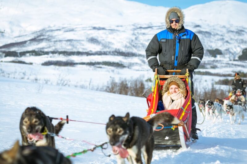 Tromsø: Husky Sled Self-Drive with Traditional Lunch - Interaction with Huskies and Kennel Visit