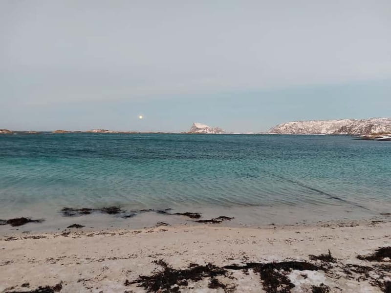 Tromsø: Island of Kvaløya Scenic Sightseeing Minibus Tour - Key Points