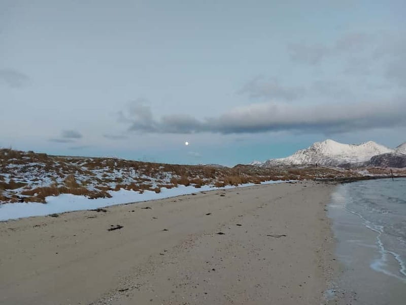 Tromsø: Island of Kvaløya Scenic Sightseeing Minibus Tour - Rock Carvings in Hella