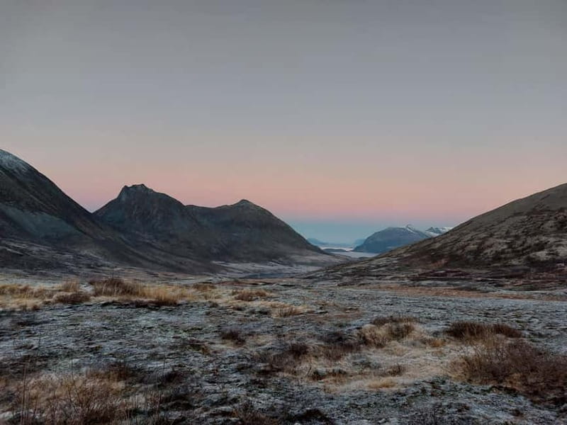 Tromsø: Island of Kvaløya Scenic Sightseeing Minibus Tour - Comfort and Flexibility Onboard