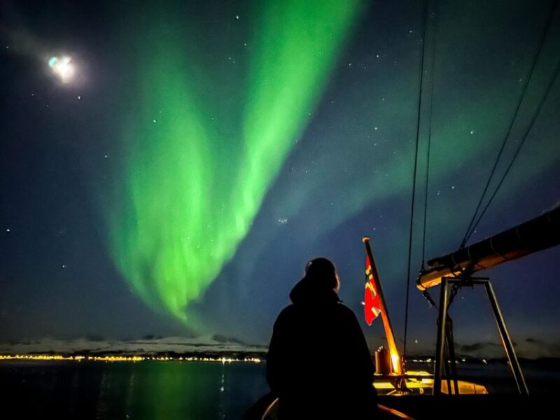 Tromso: Luxury Northern Lights Cruise with Hot Tub & Dinner - Scenic Route Through Arctic Fjords