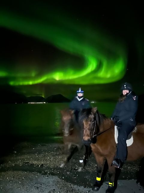 Tromsø: Lyngen Horse Winter Evening Riding Experience - The Experience of Riding Under the Arctic Sky