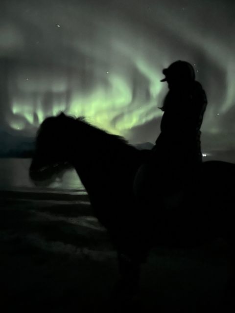 Tromsø: Lyngen Horse Winter Evening Riding Experience - The Scenic Stops and Route Highlights