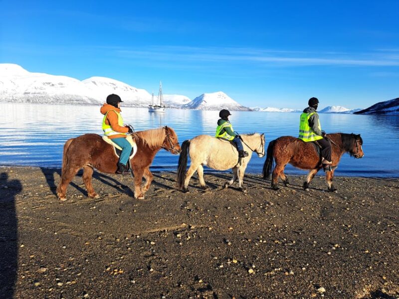 Tromsø: Lyngen Horse Winter Riding Experience - The Starting Point at Tromsø Lyngshest