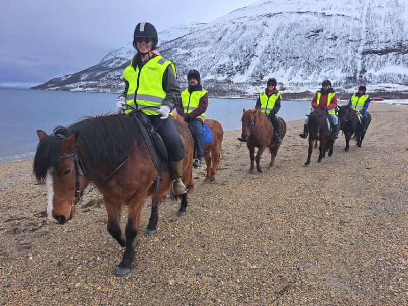 Tromsø: Lyngen Horse Winter Riding Experience - Post-Ride Relaxation with Local Treats