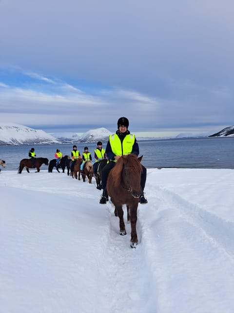 Tromsø: Lyngen Horse Winter Riding Experience - Important Safety and Accessibility Notes