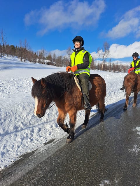Tromsø: Lyngen Horse Winter Riding Experience - Why This Tour Stands Out in Lyngen