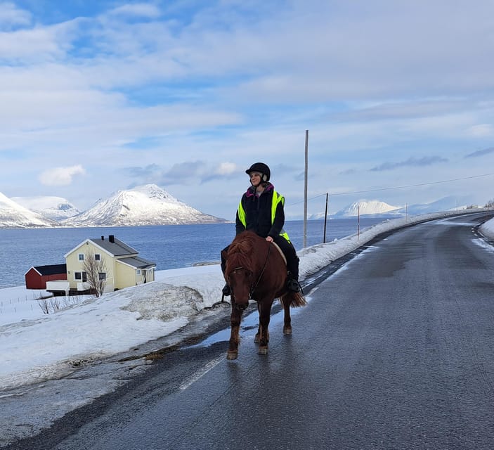 Tromsø: Lyngen Horse Winter Riding Experience - The Sum Up: Ideal for Nature and Horse Lovers
