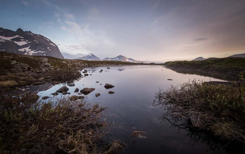 Tromsø: Midnight Sun Hike in the wilderness - Key Points