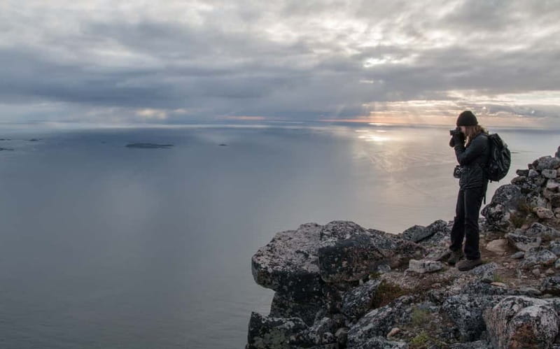 Tromsø: Midnight Sun Hike in the wilderness - Wildlife and Nature Insights from the Guides