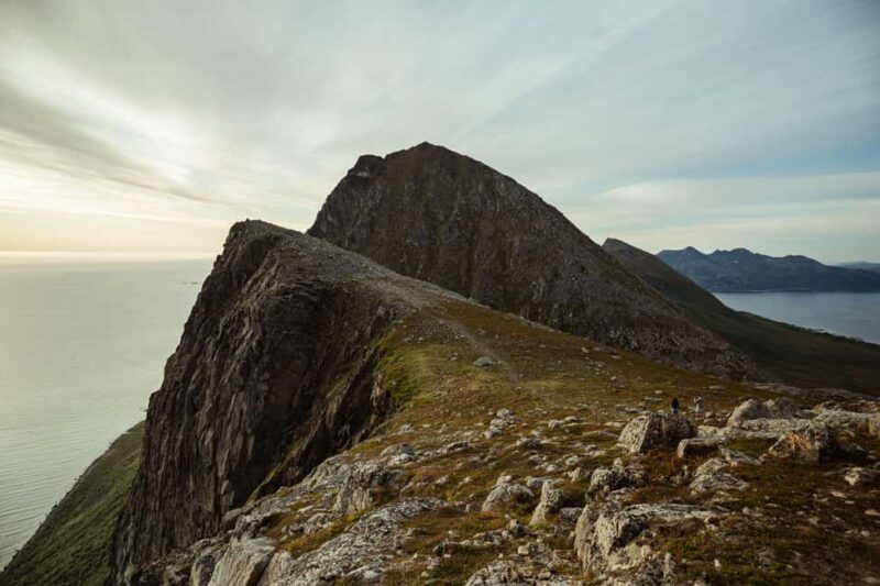 Tromsø: Midnight Sun Hike - Wildlife and Foraging Experience