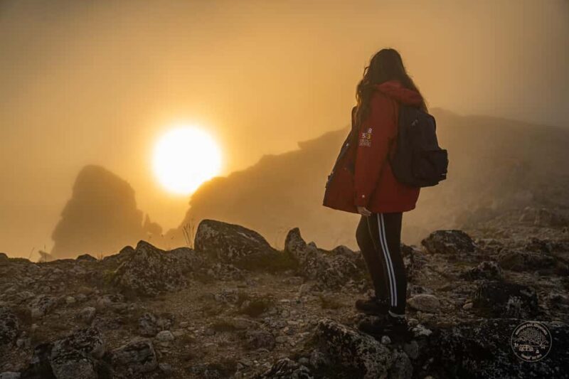 Tromsø: Midnight Sun Hike - Concluding the Arctic Summer Hike in Tromsø