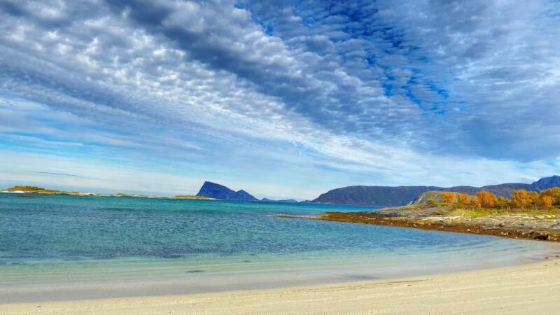 Tromsø: Midnight Sun Tour to the Magical Sommarøy with Meal - Who Will Enjoy This Arctic Midnight Sun Tour?