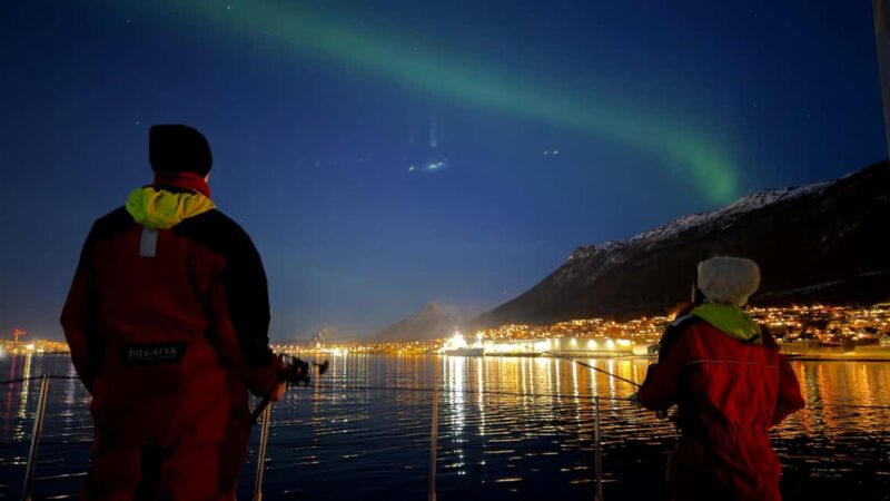 Tromsø: Nocturnal cod fishing with meal. - The value of the Tromsø night fishing tour