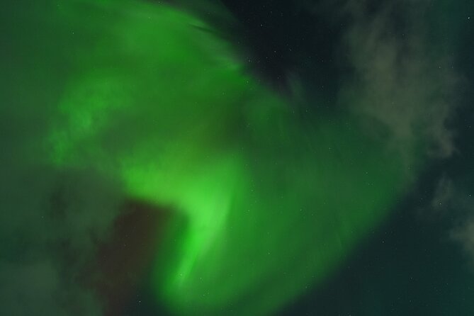 Tromsø: Northern Light tour with free complimentary photos. - The Photographic Experience with a Sony Camera