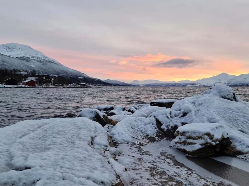 Tromsø: Northern Lights Adventure in Tromsø with Free Photos - Practical Tips for a Successful Aurora Chase