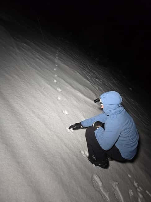 Tromsø: Northern Lights and a Starlit Adventure Tour - Tromsø: Northern Lights and a Starlit Adventure Tour – A Detailed Look