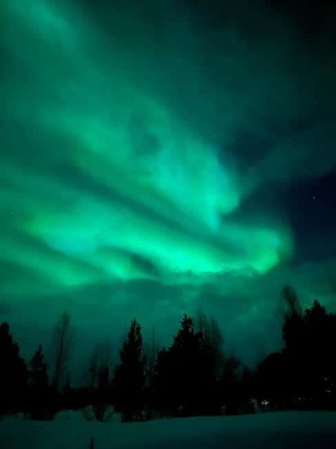Tromsø: Northern Lights and a Starlit Adventure Tour - Exploring Snow-Covered Forests and Gentle Hills on a Guided Hike