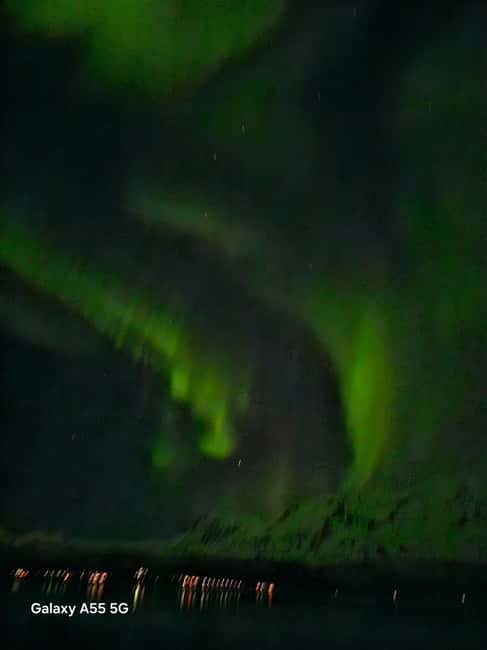 Tromsø: Northern Lights Bus Tour  Chase the Aurora Borealis - Guides Who Bring the Arctic Night to Life