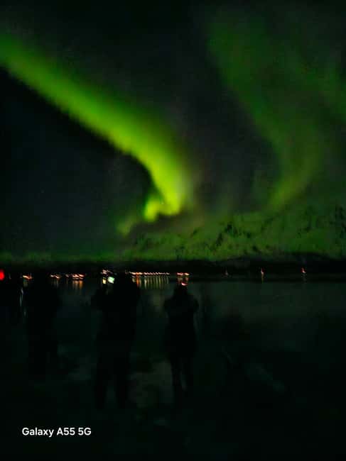 Tromsø: Northern Lights Bus Tour  Chase the Aurora Borealis - Why This Tour Offers Good Value for Money