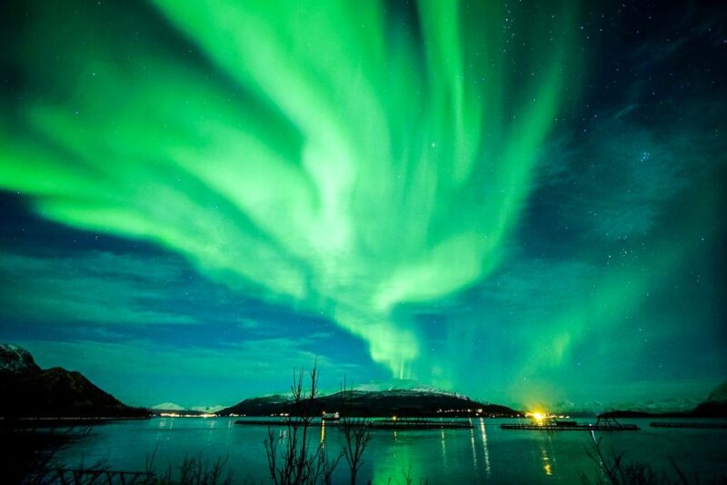 Tromsø: Northern Lights by Minibus with Photos & bodysuits - The Experience in Detail: Guides and Atmosphere