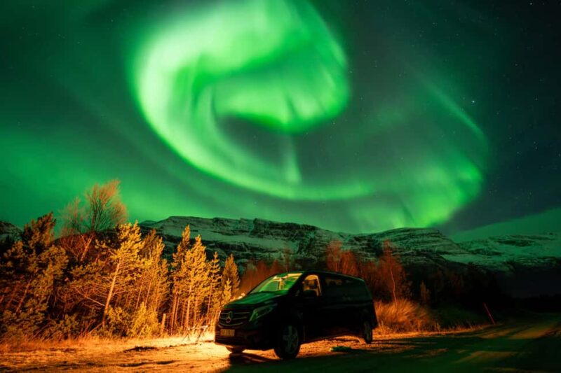 Tromsø: Northern Lights Chase, Local Guide, Foods & Pictures - Who Will Appreciate This Tour Most?