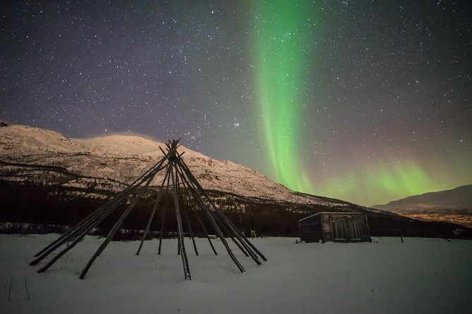 Tromsø: Northern Lights Chase Minibus Tour - The Experience in the Arctic Wilderness