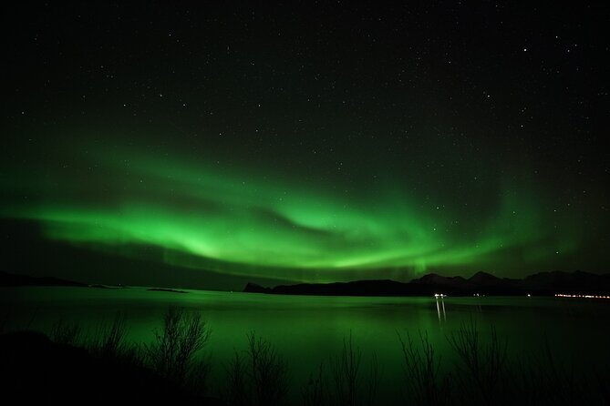 Tromsø: Northern Lights Chase Minibus Tour - Flexibility and Weather Cancellation Policies