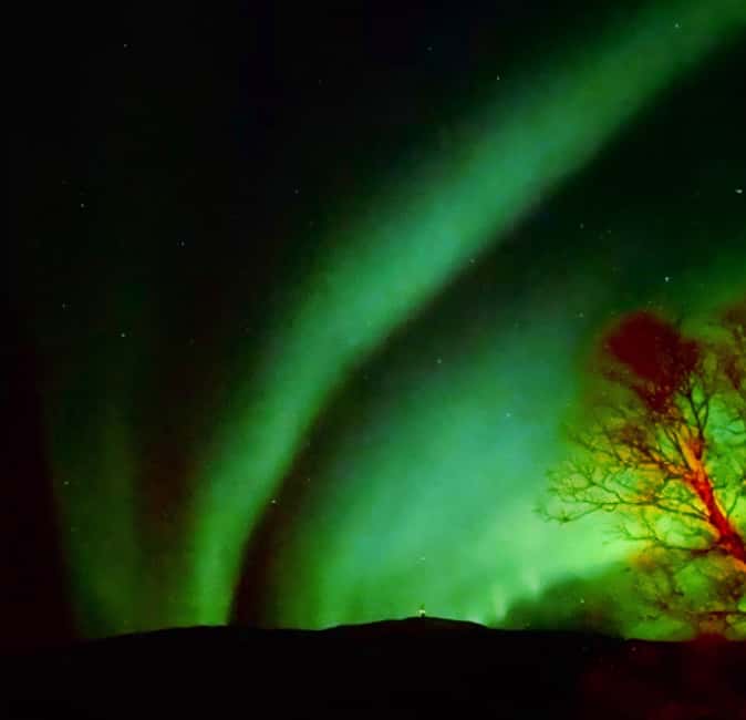 Tromsø: Northern Lights Chase  Small Group Experience - The Unique Comforts of the Campfire and Snacks