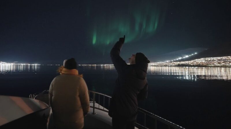 Tromsø: Northern Lights Chase with 2nd Chance Guarantee - Viewing Platforms and Outdoor Experience