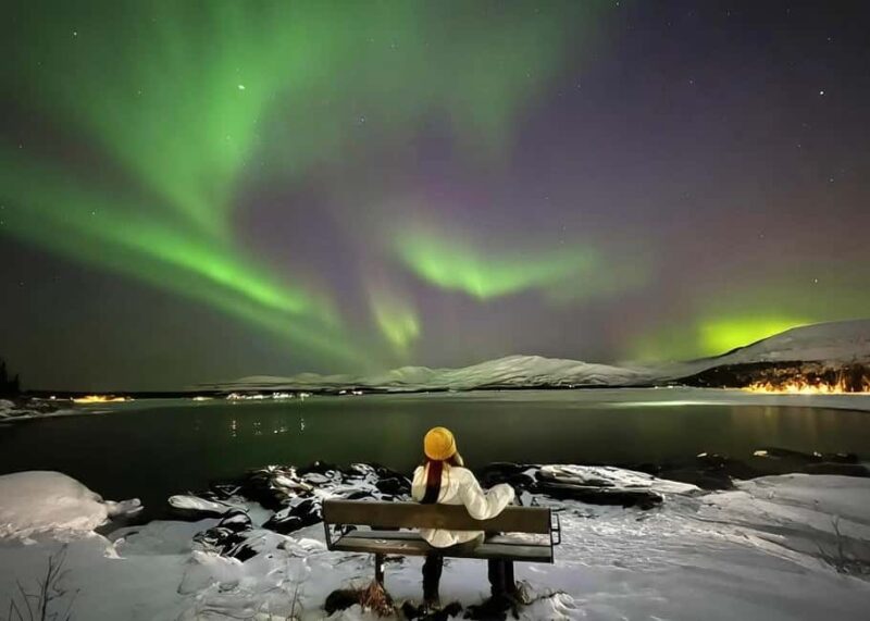 Tromsø: Northern Lights Chase with Bonfire and Snacks - Tromsø: Northern Lights Chase with Bonfire and Snacks — An Authentic Arctic Sky Adventure