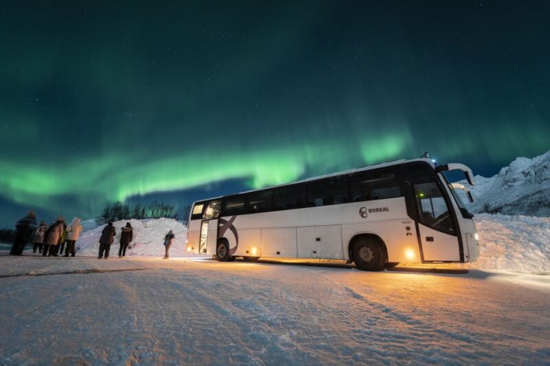 Tromsø: Northern Lights Guided Bus Tour - Meeting Point and Practical Details