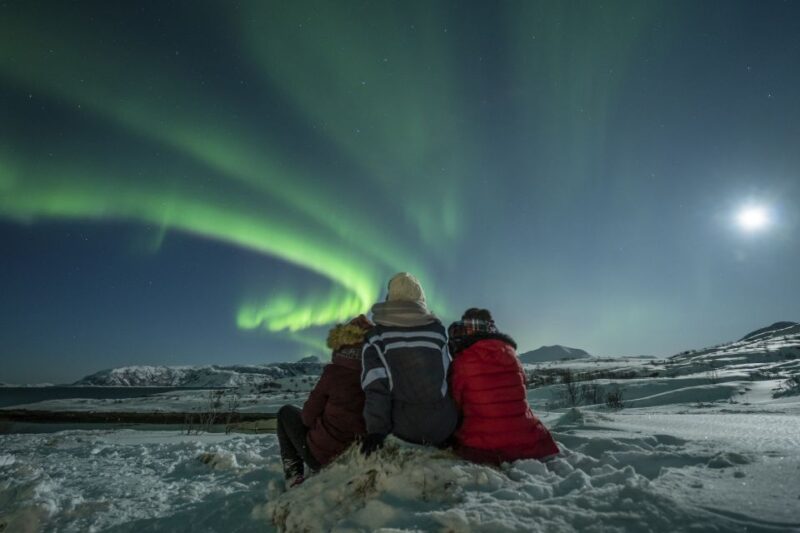 Tromsø: Northern Lights Guided Bus Tour - Frequently Asked Questions
