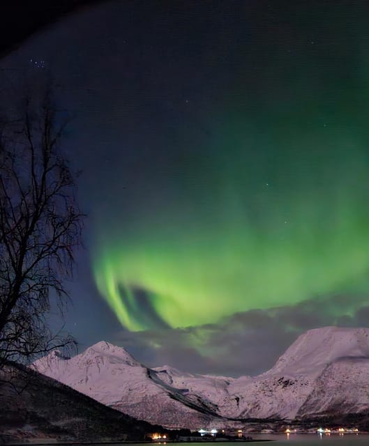 Tromsø: Northern Lights Hunt, private tour - Key Points