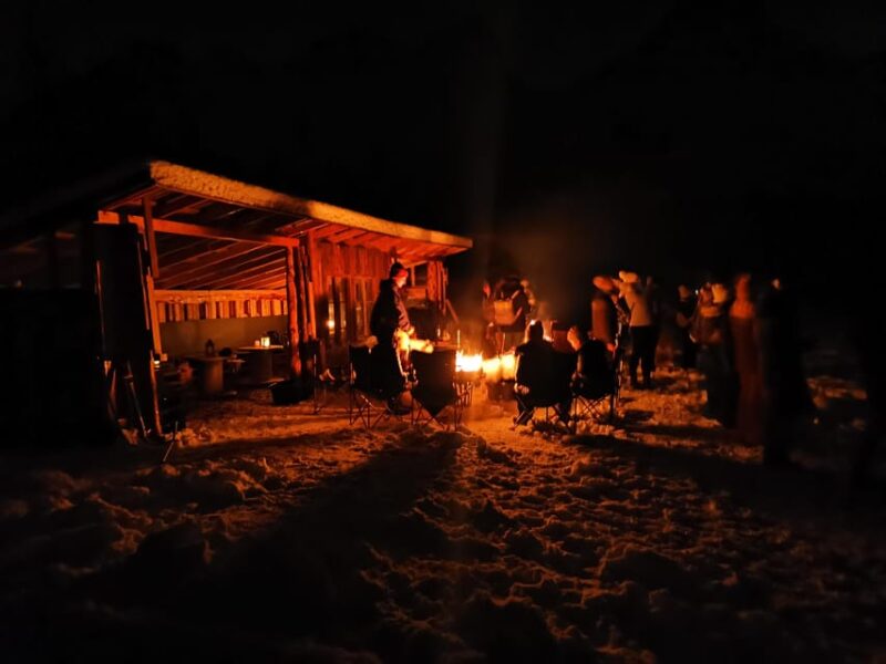 Tromsø: Northern Lights Hunt, private tour - Exploring Tromsø County and the Arctic Wilderness