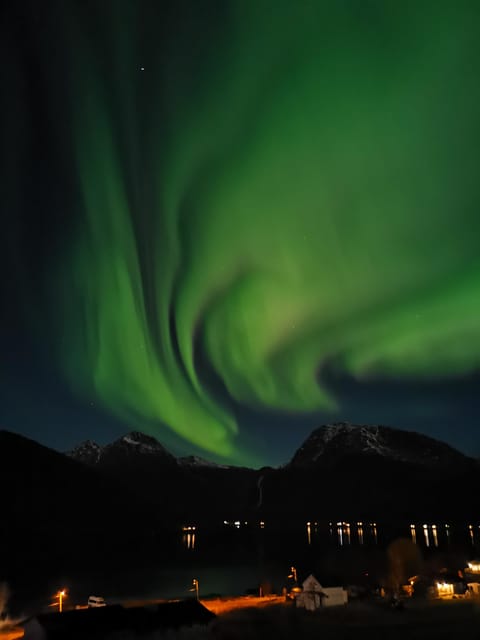 Tromsø: Northern Lights Hunt, private tour - Important Logistics and Practical Tips