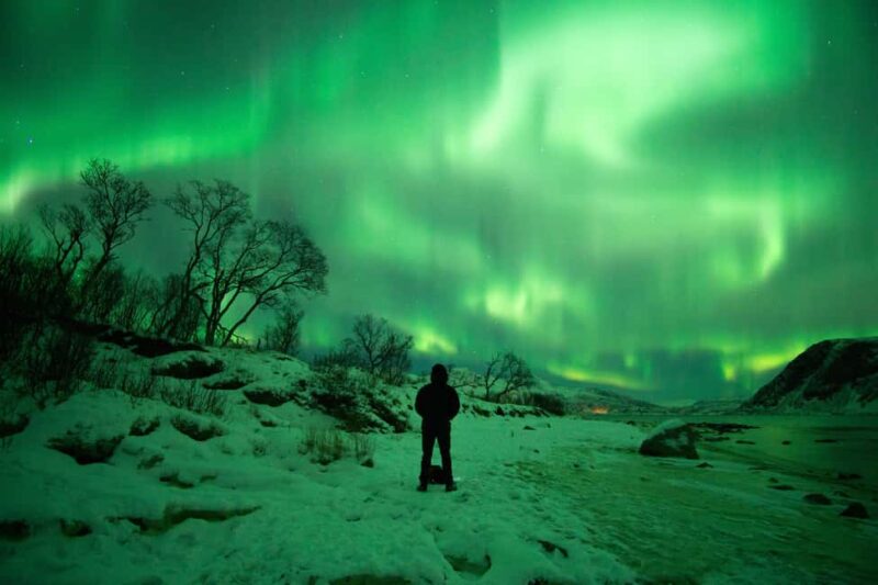 Tromsø: Northern Lights Hunt with a Professional Photographer in Italian - Photography Tips and Professional Photos Included
