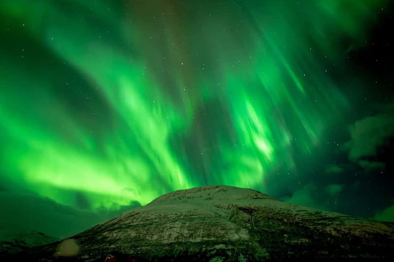 Tromsø: Northern Lights in a minibus with free photos and a warm meal! - Who Will Enjoy This Tromsø Aurora Tour?