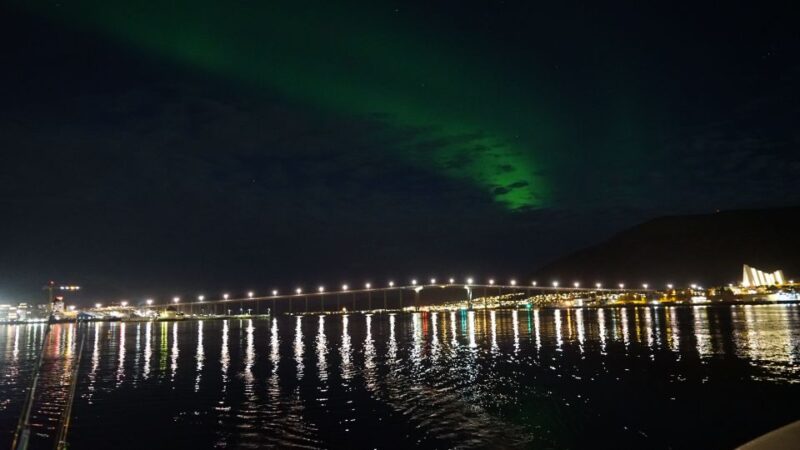 Tromsø: Northern Lights Luxury Catamaran Cruise - Watching for the Northern Lights