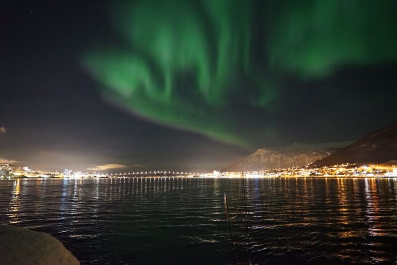 Tromsø: Northern Lights Luxury Catamaran Cruise - Food and Drink: Regional Flavors on Board