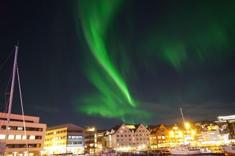 Tromsø: Northern Lights Luxury Catamaran Cruise - The Return to Tromsø