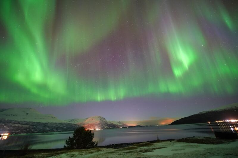 Tromso: Northern Lights Minibus Tour with Campfire - The Campfire Experience and Snacks