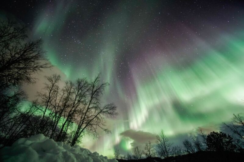 Tromsø: Northern Lights Pioneer Tour with Photos Included - Drop-off and Ending the Tour in Tromsø