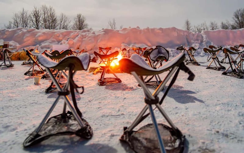 Tromsø: Northern Lights Safari with Expert Guides and Photos - Starting Point and Departure Logistics