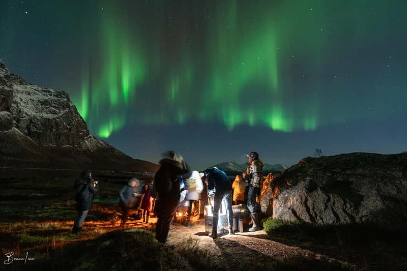 Tromsø: Northern Lights Safari with Expert Guides and Photos - The Journey into Norway’s Arctic Wilderness