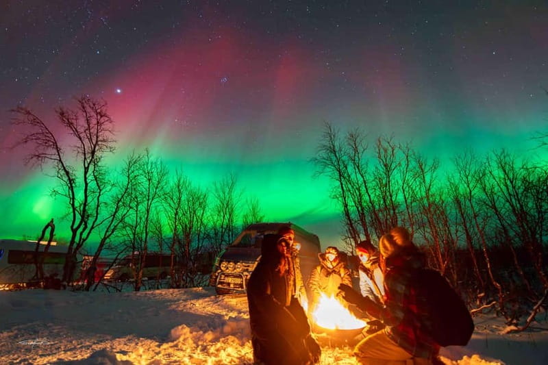 Tromsø: Northern Lights Safari with Expert Guides and Photos - Who Will Appreciate This Tour Most?